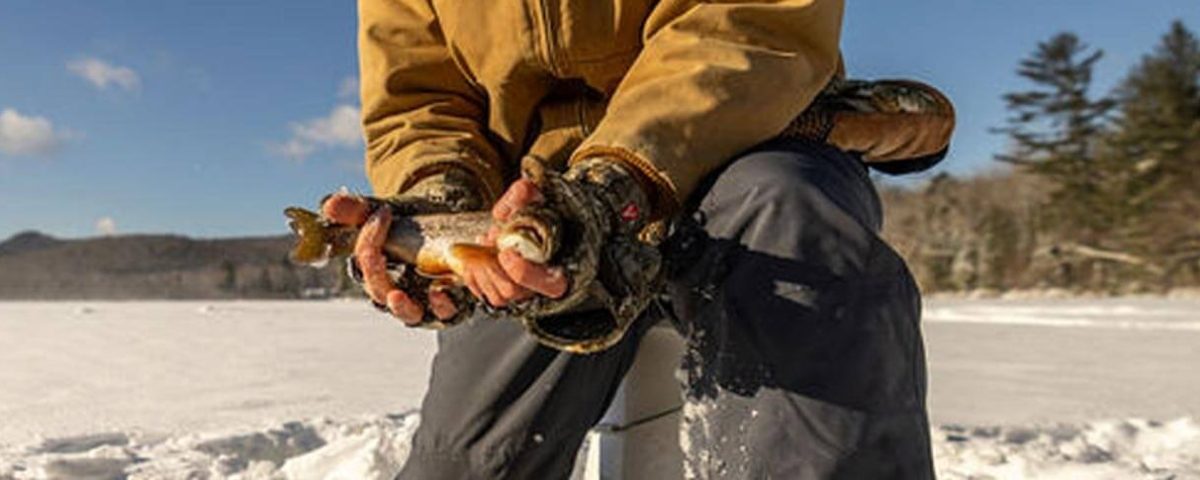 winter-fishing-featured-me-inlandfisheries-wildlife-photo-1584x485