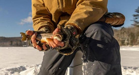 winter-fishing-featured-me-inlandfisheries-wildlife-photo-1584x485