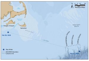 blue-whale-map-of-sightings-feb2026-nea