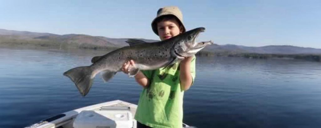 Fish for Landlocked Salmon In NH Beginning April 1