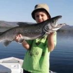 salmon-photo-nh-fish-and-game