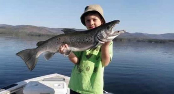 salmon-photo-nh-fish-and-game