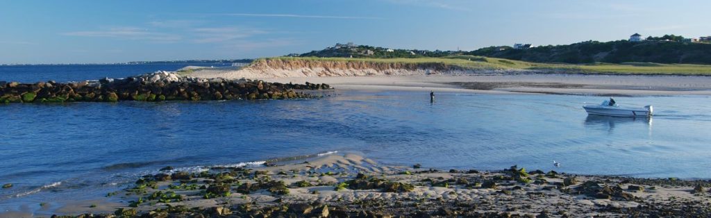 Explore Pamet Harbor, Massachusetts