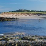 pamet-harbor-tr-featured-1584x485