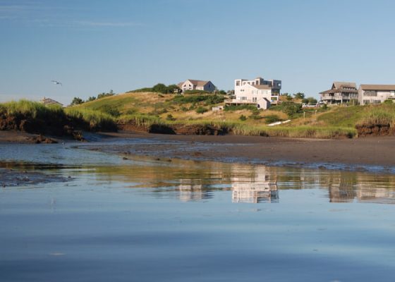 pamet-harbor-tr-harbor-low-tide
