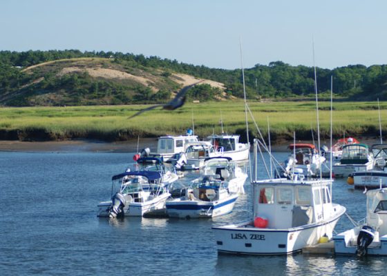 pamet-harbor-tr-harbor-moorings