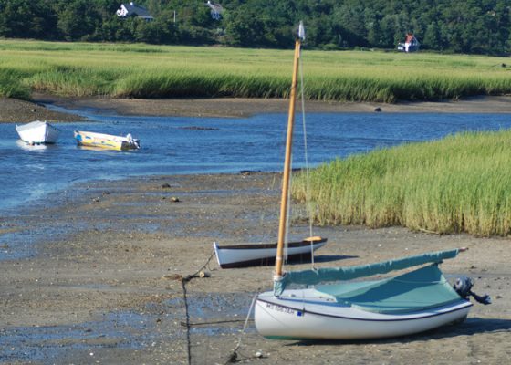 pamet-harbor-tr-sailboat