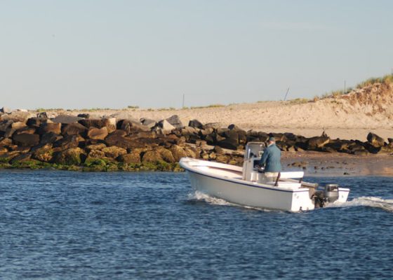 pamet-harbor-tr-white-boat