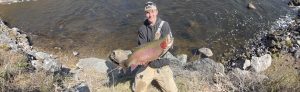 record-trout-featured-ct-fish-wildlife-1584x485