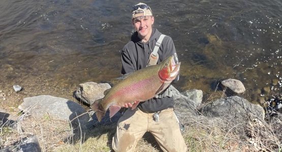 record-trout-featured-ct-fish-wildlife-1584x485