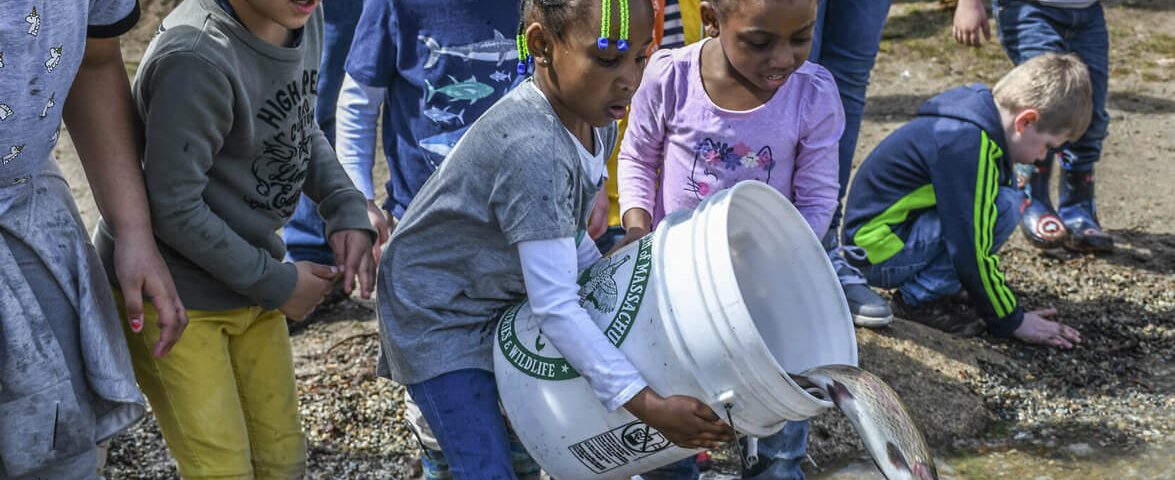 trout-stocking-students-help-photo-ma-fish-and-wildlife
