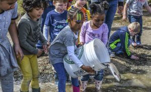 trout-stocking-students-help-photo-ma-fish-and-wildlife