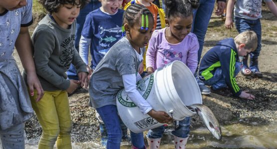 trout-stocking-students-help-photo-ma-fish-and-wildlife