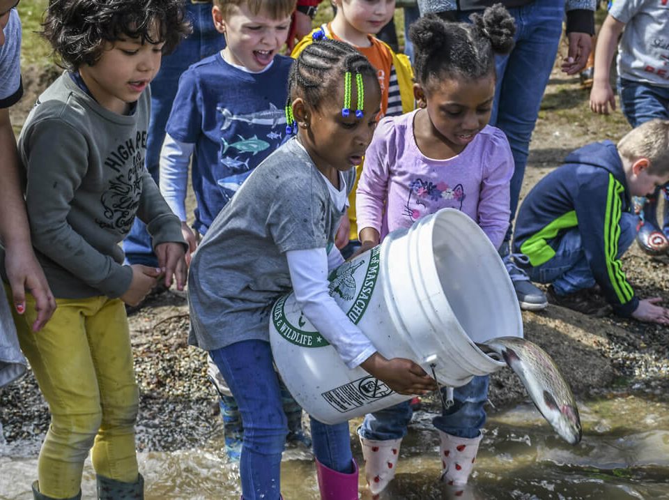 trout-stocking-students-help-photo-ma-fish-and-wildlife