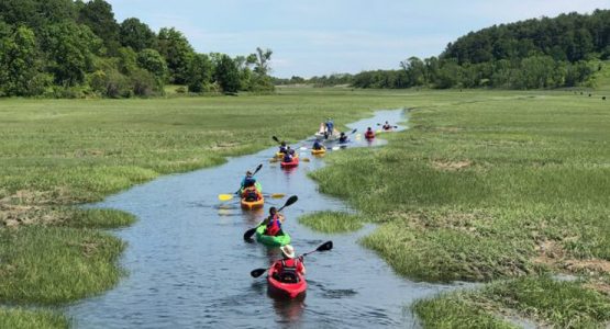 fox-creek-phot0-thetrustees