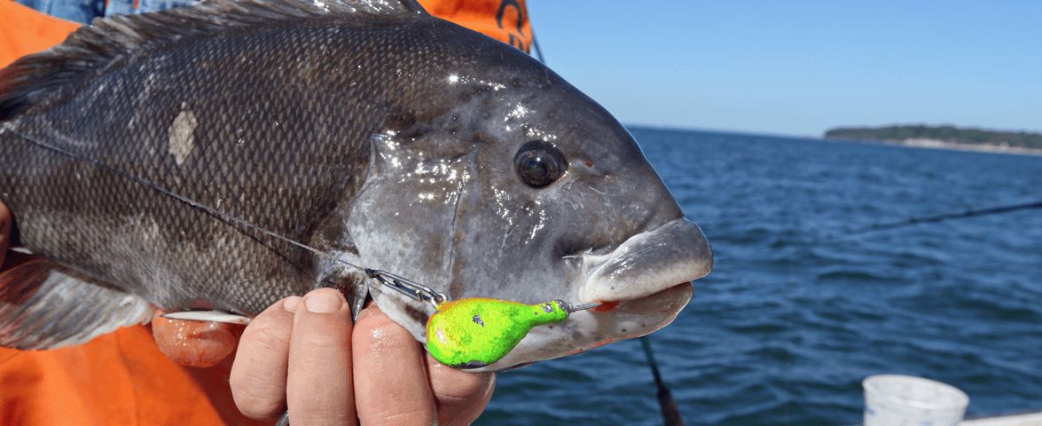blackfish-jig-freedom-ts