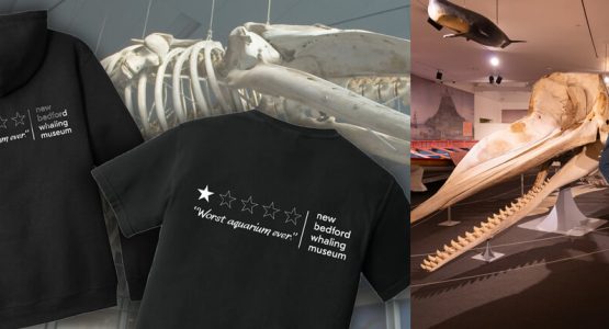 whaling-museum-merc-photos-nbwhalingmusuem