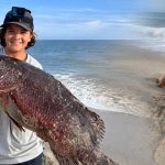 cubera-snapper-caught-nantucket-stones-fornes-photo