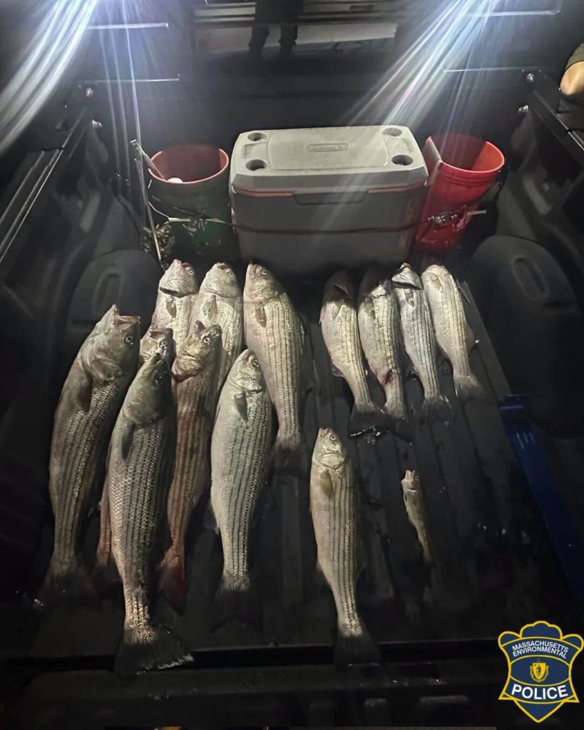 sumgglers-beach-fish-heist-mep-photo