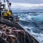 Arctic-Squid-Haul-at-Sea--AI-illustration